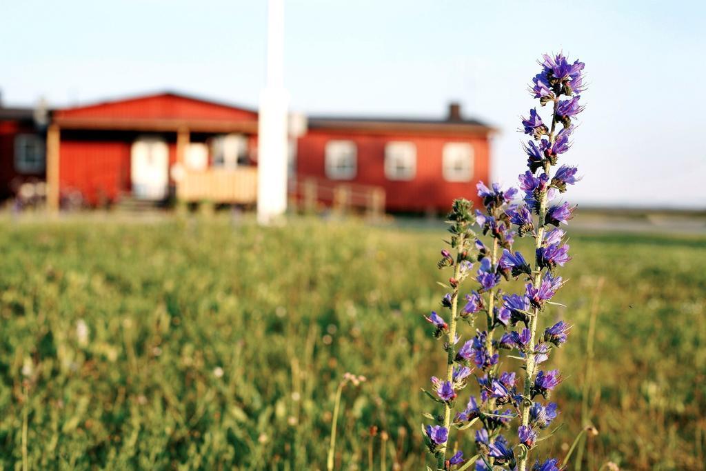 Stf Bunge Hostel Fårösund Екстериор снимка